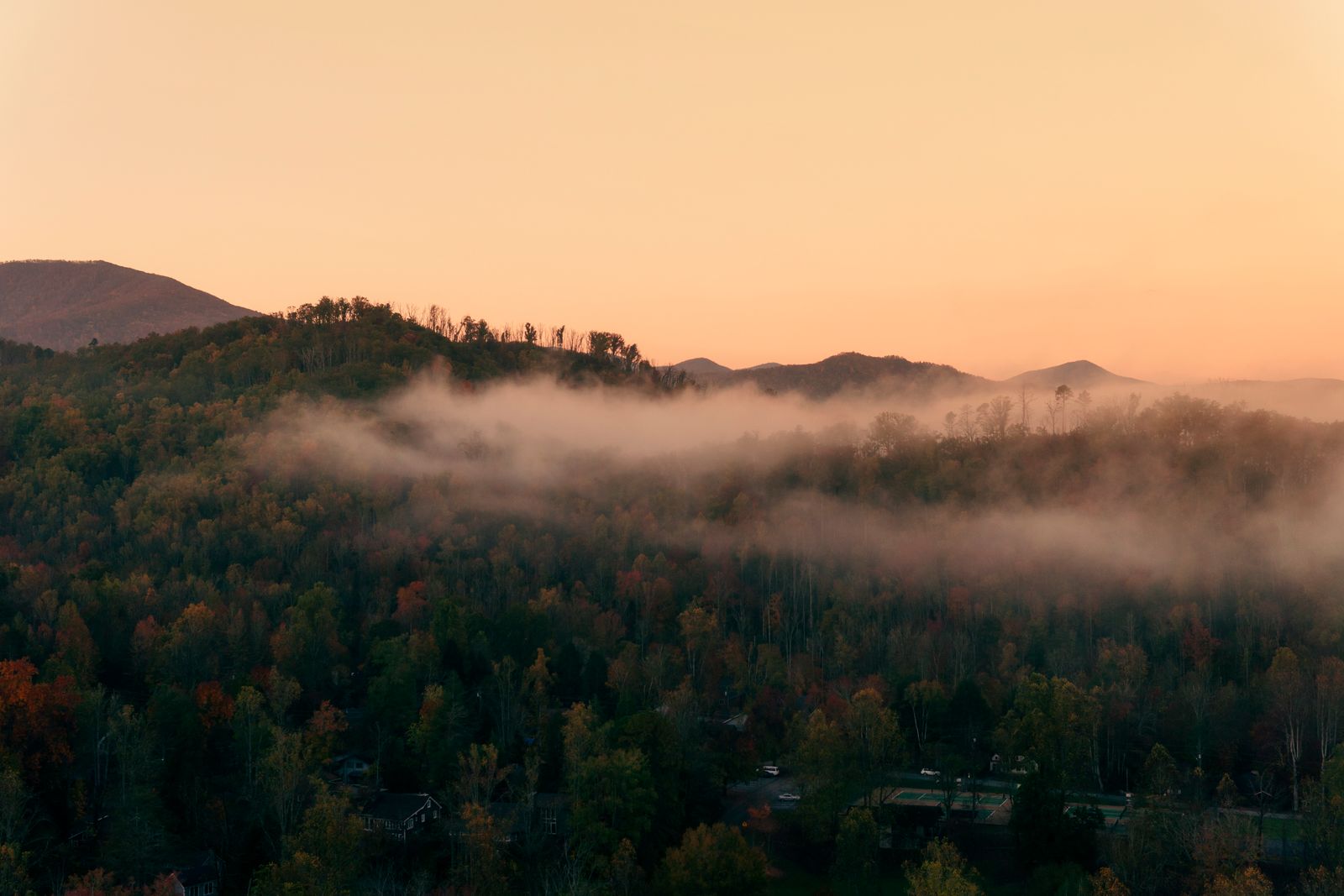 Mist rolling across a forested ridge at dawn